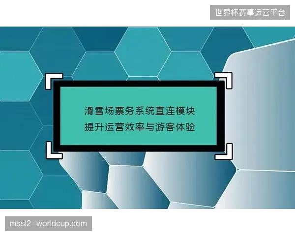 场馆票务系统与现场安保响应脱钩，正侵蚀大型赛事的运营效率底线
